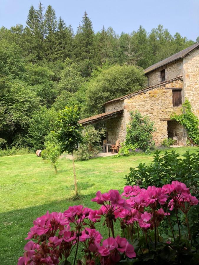 Le Moulin De La Farge B&B Saint-Moreil Exterior foto